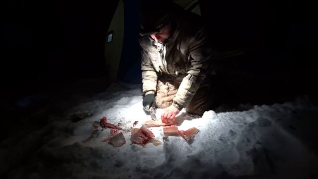 РЫБАЛКА С НОЧЕВКОЙ / ВКУСНОЕ БЛЮДО ИЗ РЫБЫ / ЛОВЛЯ ЩУКИ НА ЖЕРЛИЦЫ И ПЛОТВА ГИГАНТ ВОРУЕТ УДОЧКИ смотреть онлайн