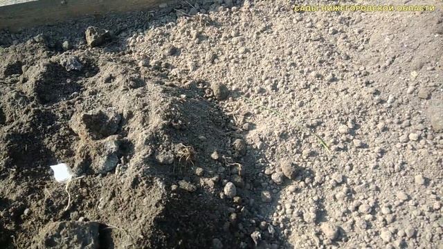 Грядки для клубники.Готовим почву для клубники смотреть онлайн