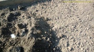 Грядки для клубники.Готовим почву для клубники