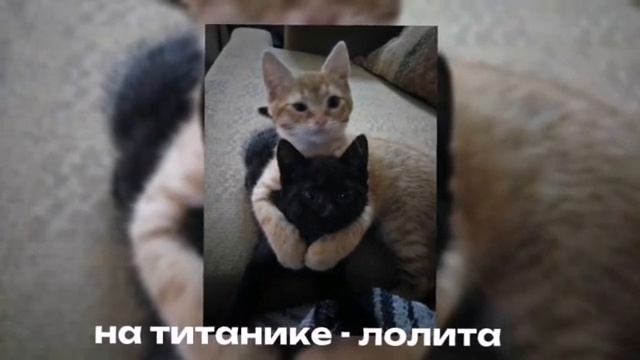 Лолита~на Титанике «speed Up»