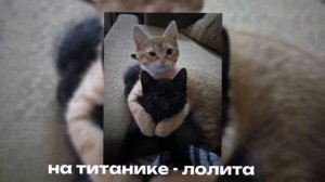 Лолита~на Титанике «speed up»