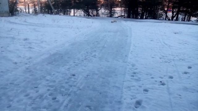 Видео Сноубол смотреть онлайн