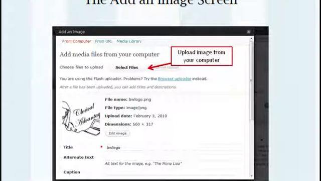 How to Insert an Image into a Wordpress Post or Page смотреть онлайн
