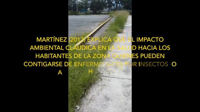 Impacto ambiental por Rodrigo Ledesma y César Castillo смотреть онлайн