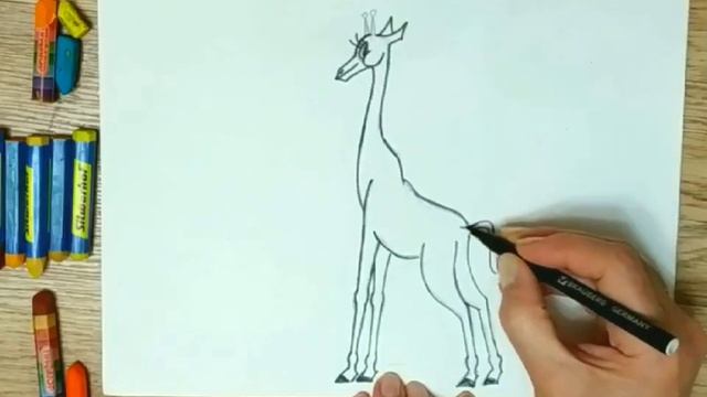 ЖИРАФ. Как нарисовать жирафа карандашами