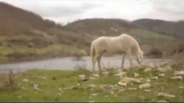 Белый единорог, Зеленая Испания и я смотреть онлайн