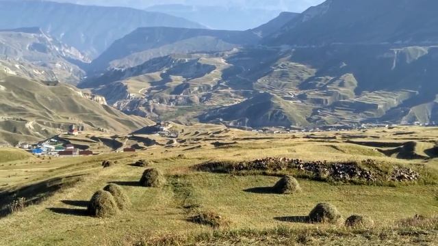 Фото С/Ш.Первый этап сенокоса.30.07--22.08.2019 смотреть онлайн