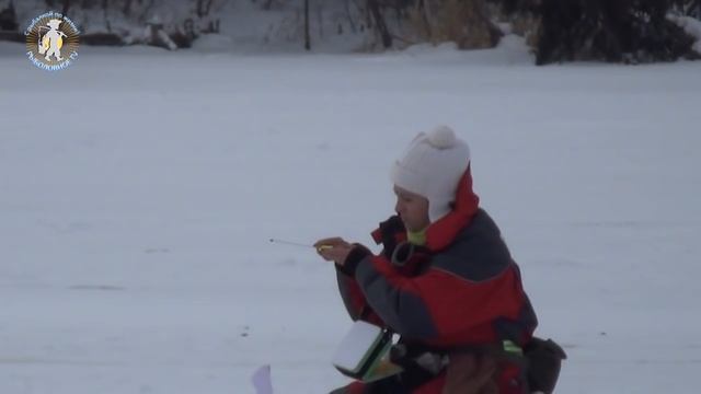 Команда мечта 'Волжанка Неро' КУБОК РОССИИ 2017 смотреть онлайн