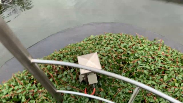 Подводная камера для съёмки в пруду/Всё своими руками/Пруд возле дома смотреть онлайн