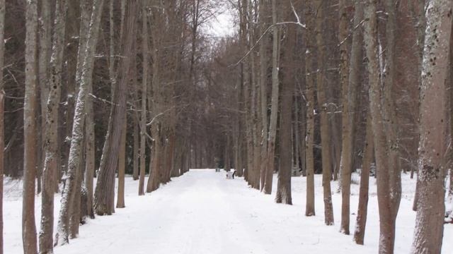Дворцово-парковый ансамбль Ораниенбаум смотреть онлайн