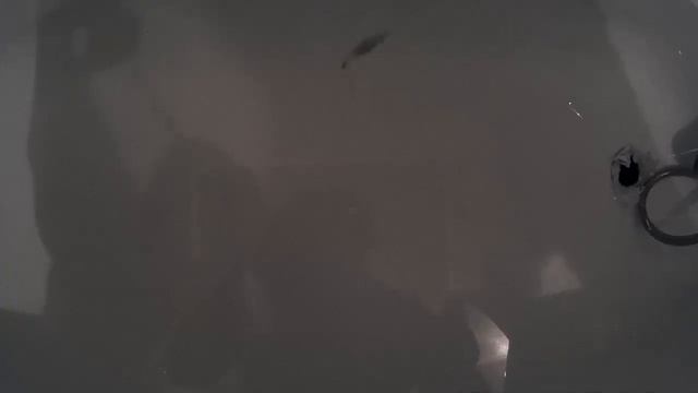 Листик ИНБ пайка ПОС-61 смотреть онлайн