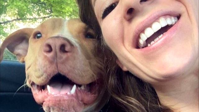 Брошенный на цепи пёс понял, что к нему пришла помощь — его реакция невероятна смотреть онлайн