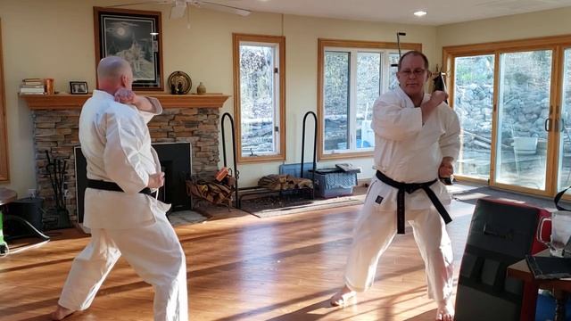 Home Training - University Of Minnesota Shotokan Karate Club - April 28th 2021
