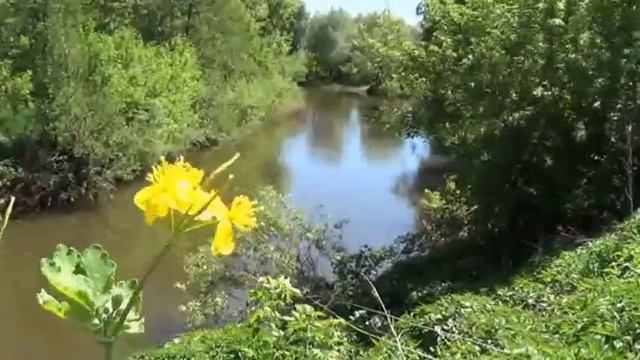 Село мое, Покровка... смотреть онлайн