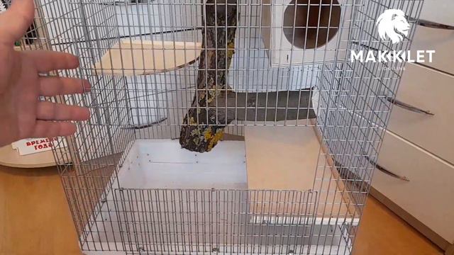 Клетка для бурундука с местом под беговое колесо/Размеры 40х50х120см.