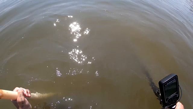 НАШЁЛ ЗОЛОТО ВЕЛИКАНА ! ( Поиск золота на пляже а + 31 ) смотреть онлайн