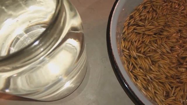 Польза отвара овса для организма смотреть онлайн