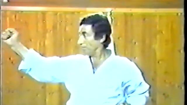 Fudokan - shotokan: Tecniche di base смотреть онлайн