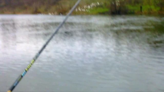 Ловля пескаря поздней осенью. смотреть онлайн