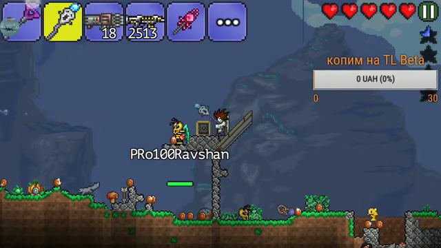 Играем в Terraria по сети, фанимся смотреть онлайн