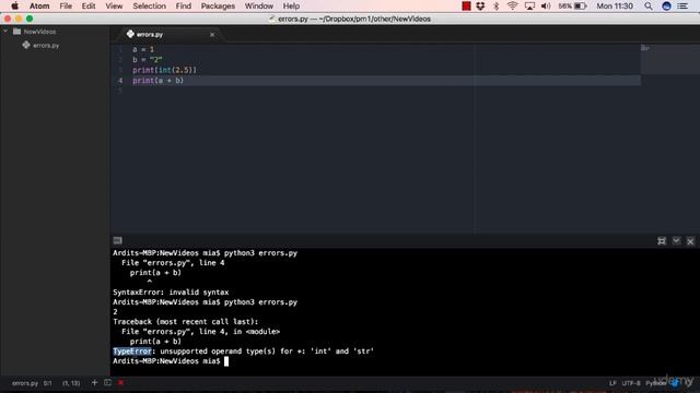 Dealing with Programming Errors : Runtime Errors смотреть онлайн