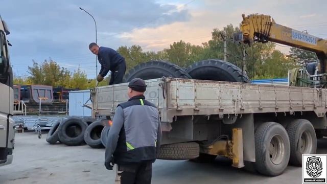 Недобросовестный заказчик 1 смотреть онлайн