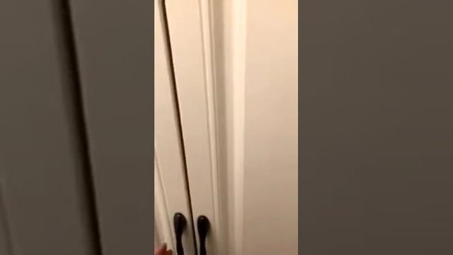 Обзор квартиры в Киеве на ул. Щорсе за 1 050$Обзор квартиры в Киеве на ул. Щорсе за 1 050$ смотреть онлайн