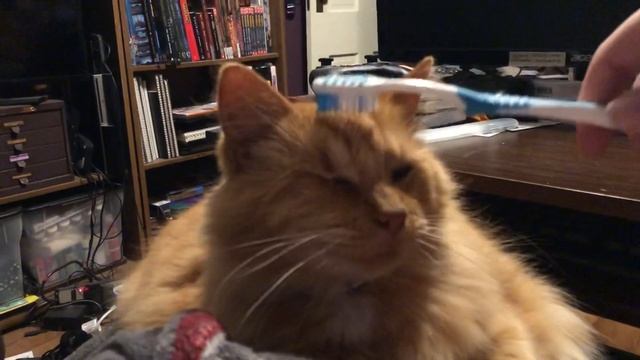 Brushie brushie Puffy смотреть онлайн