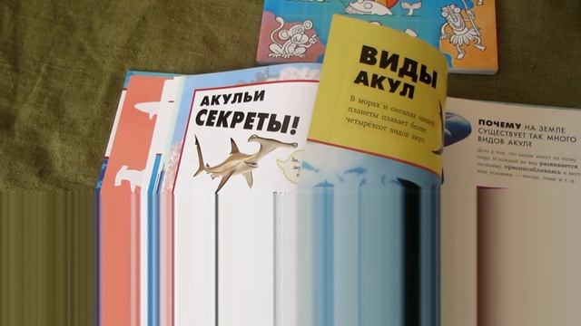 АКУЛЫ Удивительная Энциклопедия смотреть онлайн