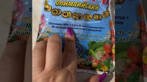 Земляничное дерево, Arbutus unedo. Выращивание и уход