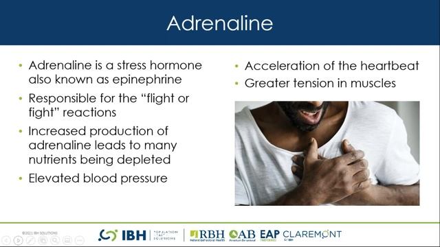 What Stress And Diet Have In Common