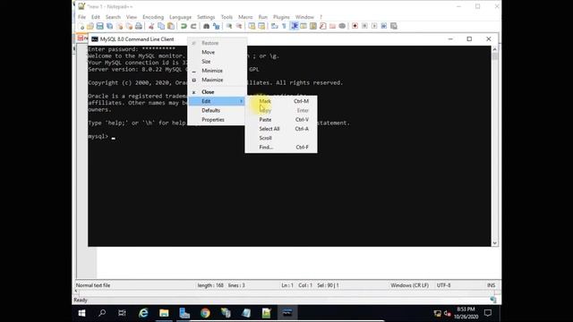 How to Install and Setup WordPress on IIS in Windows Server 2019 смотреть онлайн