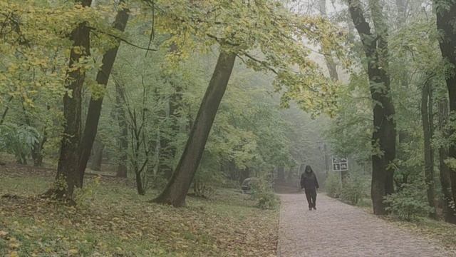 Курортный парк Железноводск смотреть онлайн