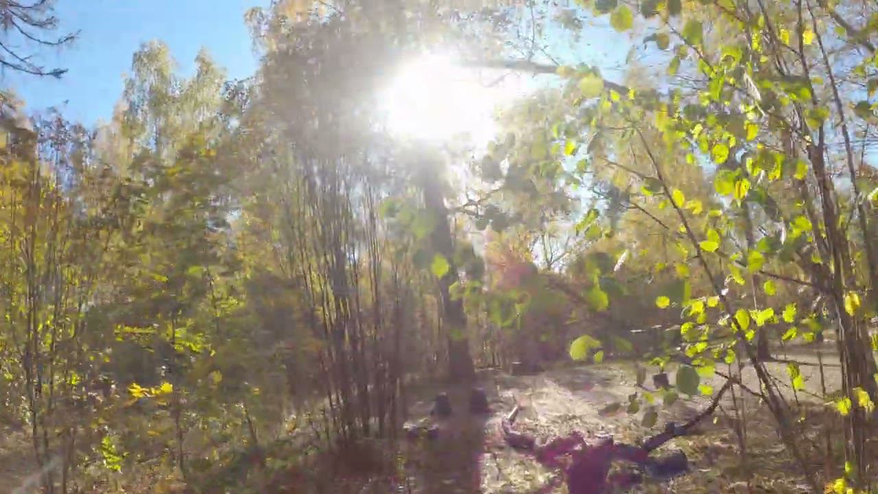 10.10.2022_5 смотреть онлайн