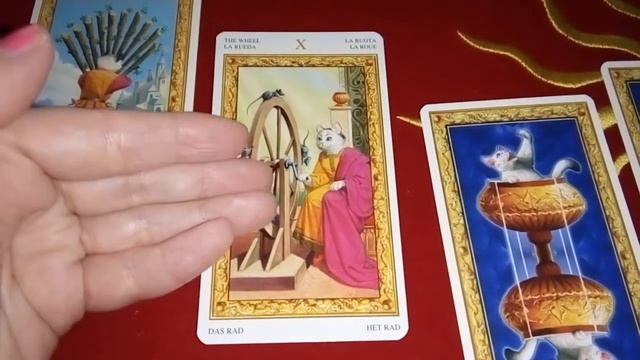 Расклад для подписчицы на Таро Белых Кошек, диагностика канала любви до и после чистки. смотреть онлайн