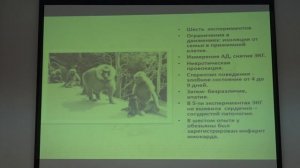 Неизвестные функции сердца. История гениального открытия