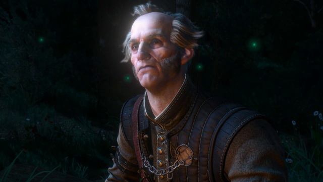 The Witcher 3 часть 121 прохождение на PC 1440p 60fps ультра настройки