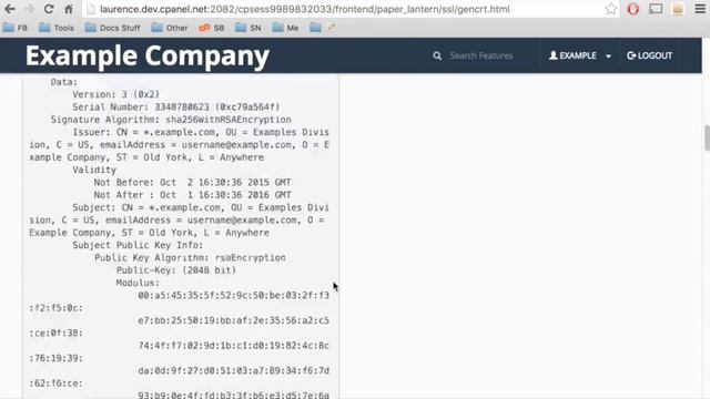 cPanel Tutorials - How to create and install a self signed SSL certificate in cPanel смотреть онлайн