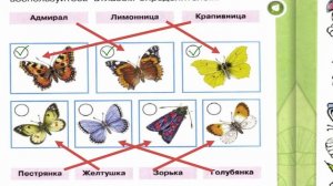 Окружающий мир. Рабочая тетрадь 1 класс 2 часть. ГДЗ стр. 29 №2