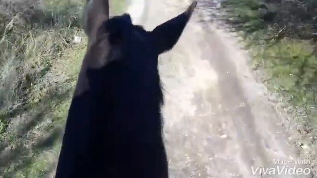 🔥💫Весенние поля🌈 смотреть онлайн