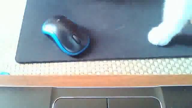 Как стать вампиром смотреть онлайн