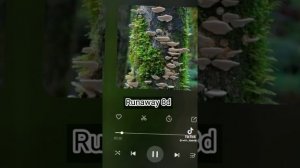 ~?♀️?♀️?♀️||Видео из ТТ для ведьмочек, травниц, фей||???~ Часть 5/?