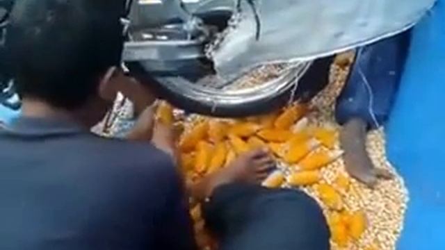 как консервируют кукурузу смотреть онлайн