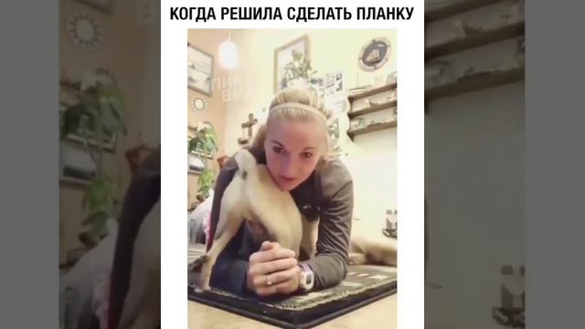 Когда решила сделать планку смотреть онлайн