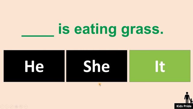 Quiz|  He She It|  Kidspride