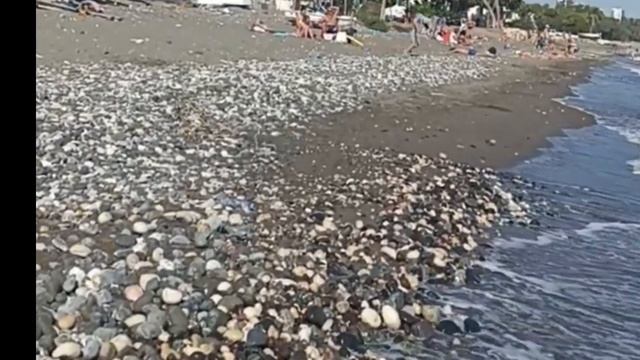 Мерсин, 22 октября. Жара +30, Пляж смотреть онлайн