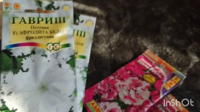 Море петунии. Поход в магазин. смотреть онлайн