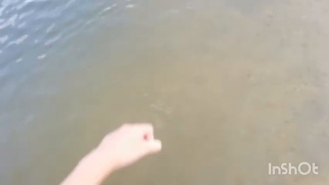 Приехали на РЕЧКУ. Увидели ЛЯГУШЕК.КУПАЛИСЬ смотреть онлайн