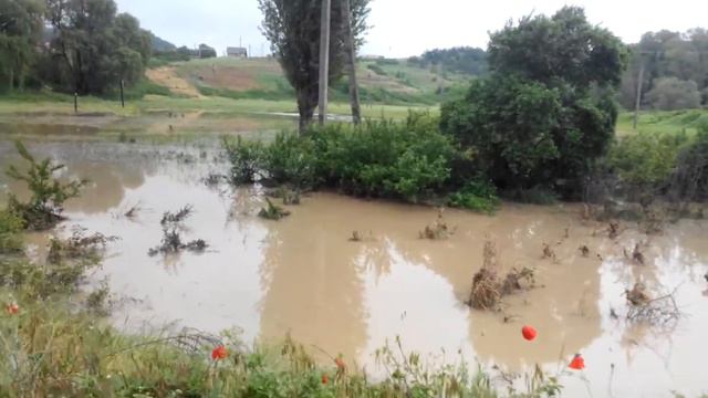 Речка вышла из берегов#3 смотреть онлайн