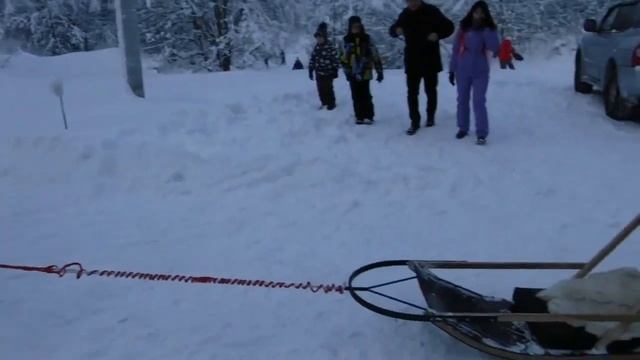 Краткий обзор праздника. День саами. смотреть онлайн